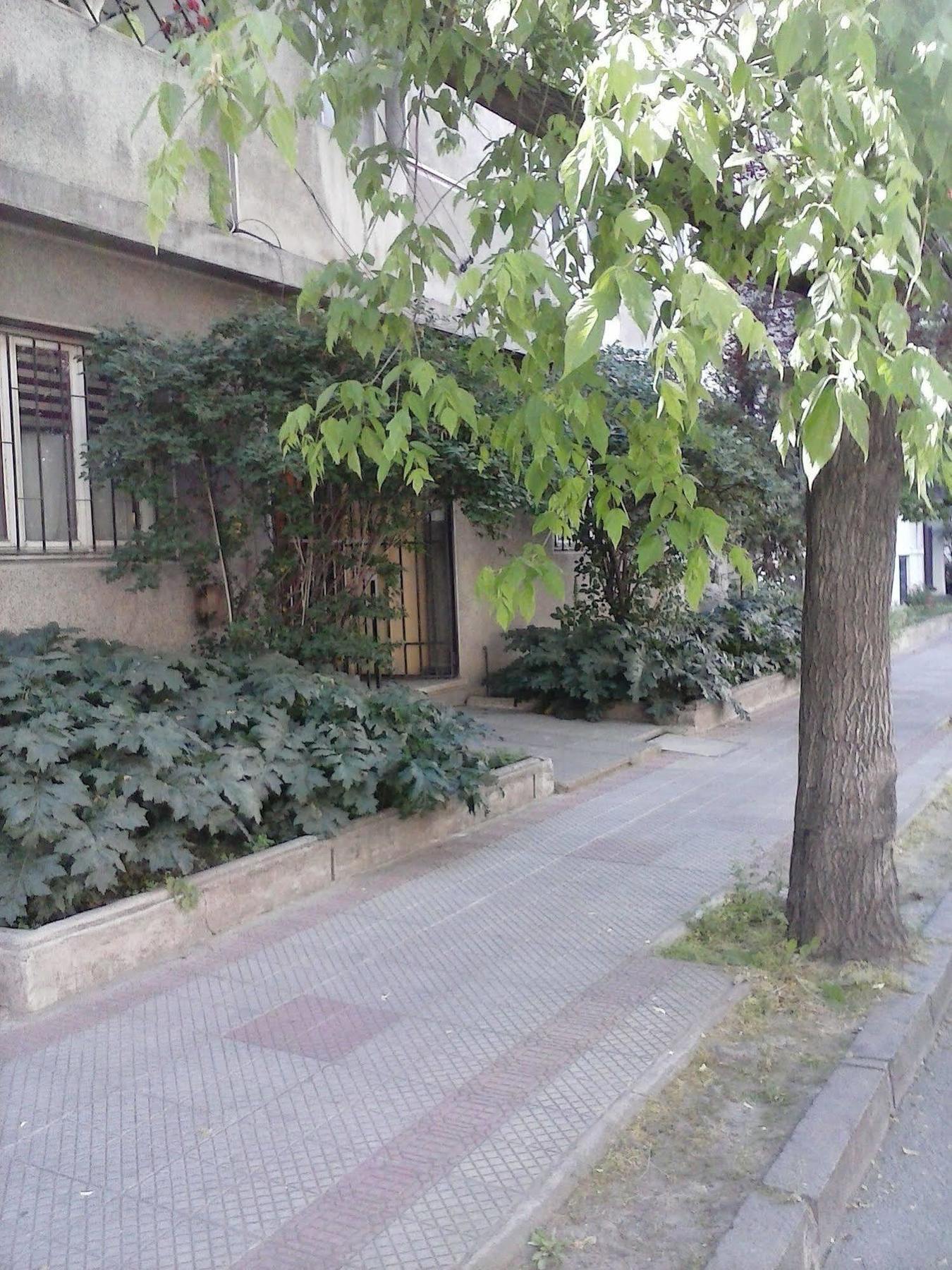 Marilu 'S Bed And Breakfast Hostelサンティアゴ エクステリア 写真